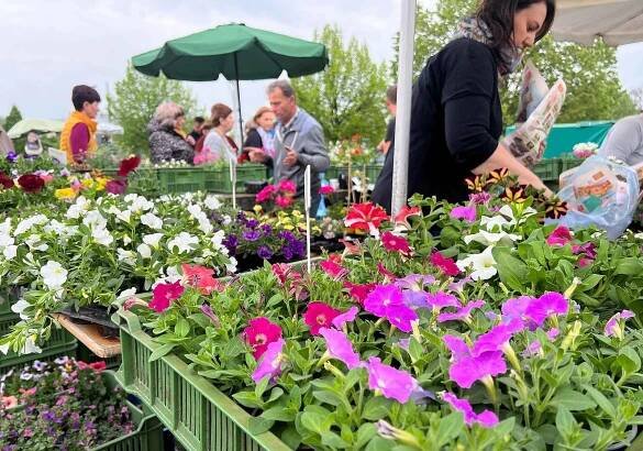 Olomoucké tržiště v sobotu nabídlo širší sortiment. Poprvé se zde uskutečnily Selské trhy doposud pořádané v areálu Výstaviště Flora Olomouc, 7. května 2022