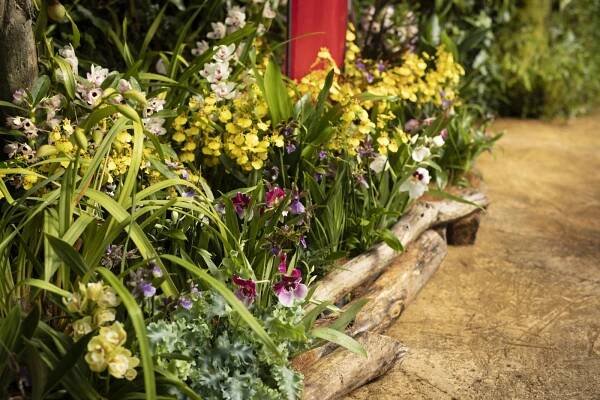 Botanická zahrada Praha zahájila výstavu orchidejí ve skleníku Fata Morgana