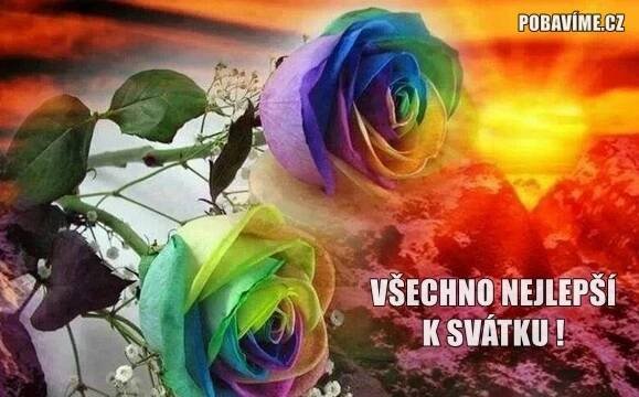 Přání Všechno nejlepší k svátku | Pobavime.cz