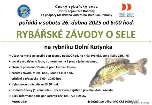 Kalendář akcí - Rybářské závody o sele - Dobřany | MRK.cz
