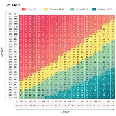 BMI Calculator | Calculate Your Body Mass Index