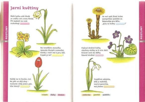 an open book with pictures of plants and flowers