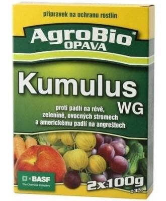 Kumulus WG 2x100g