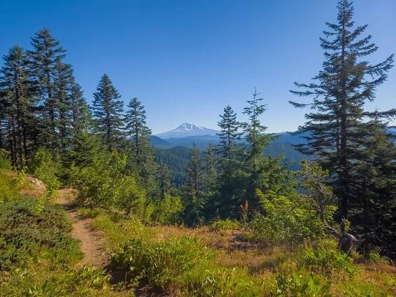 Pacific Crest Trail - OMG Photo