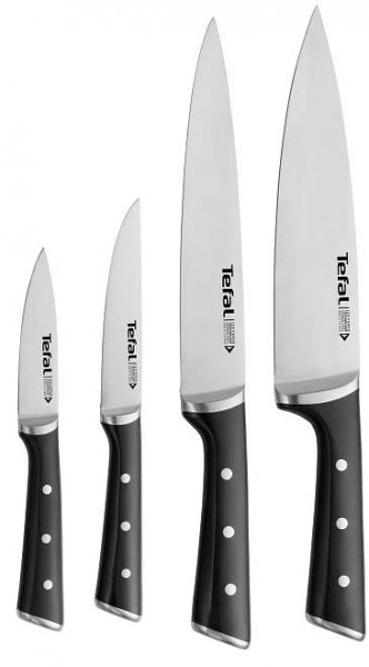 TEFAL Sada nože Ice Force 9/11/20/20 4 ks nerezová ocel od 1 498 Kč - Heureka.cz