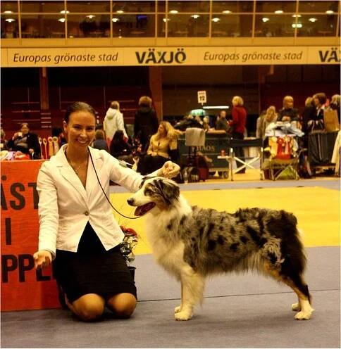 Dragongĺrdens Kennel