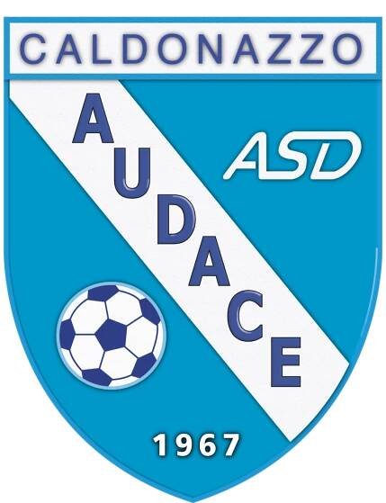 Participating teams