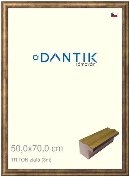 DANTIK rámeček na obraz 50x70 | TRITON zlatá (Plexi Čiré)