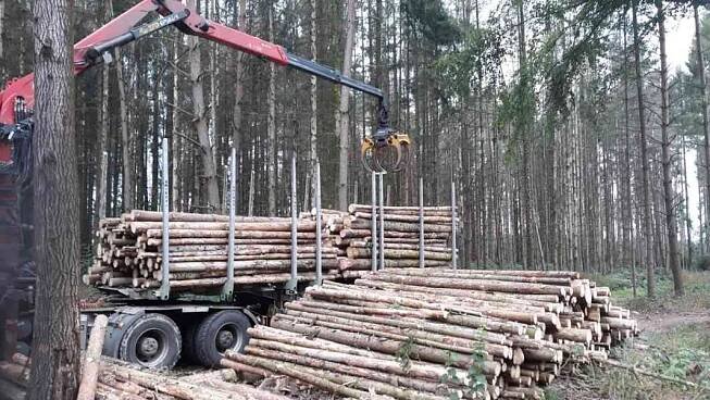 Palivové dřevo lesovůz - bazar - Hyperinzerce.cz