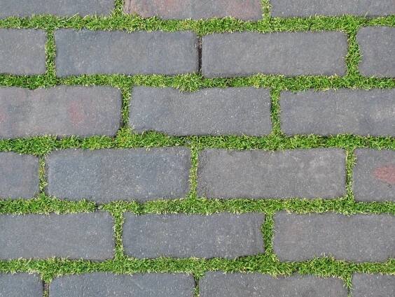 environment, nature, block, grass, bricks, wall, pattern, footpath, repetition, day, paving stone, life, gray, texture, high angle view, directly above