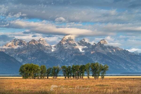The Teton Range in morning light from Mormon Row, Grand Teton National Park Wyoming #67411
