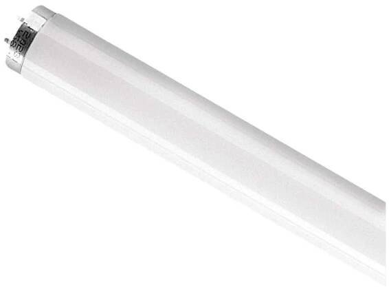 Osram zářivka L36W 830 120cm Teplá bílá od 55 Kč - Heureka.cz