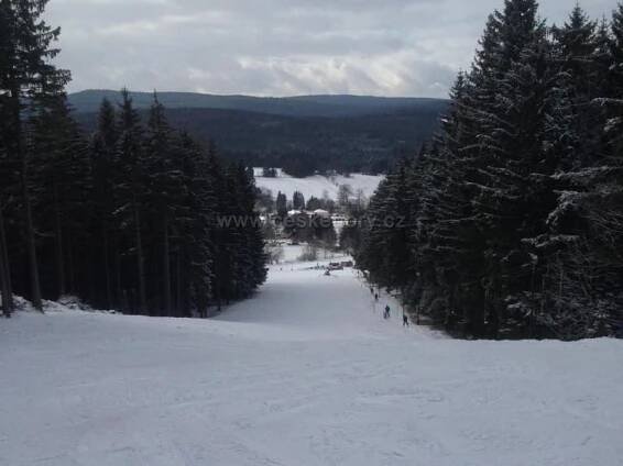 Skiareál Svratka