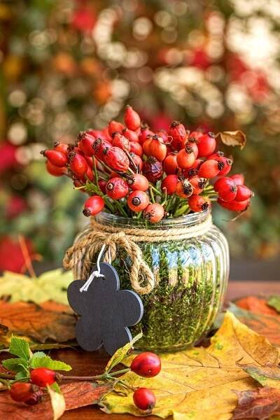 Rose Hip Cottage 🍃 | Composizioni floreali natalizie, Idee per decorazioni natalizie, Composizioni floreali autunnali
