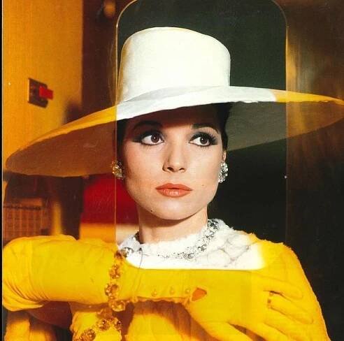 Elsa Martinelli fotka
