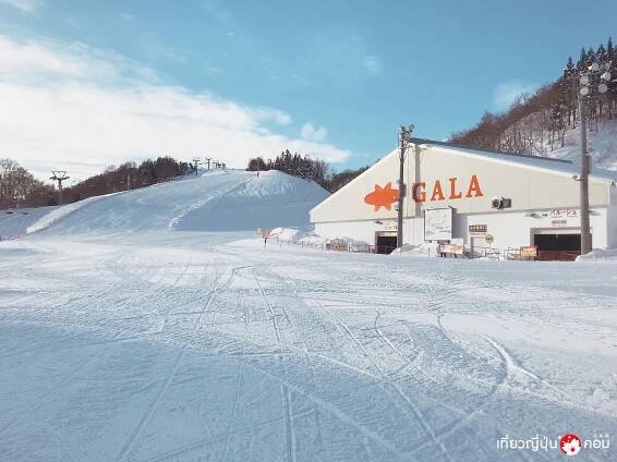 yuzawa 12