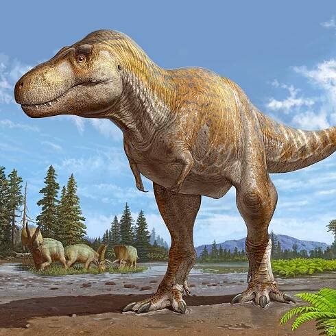 New Origin Story for Tyrannosaurs Rex Suggested by Fossil