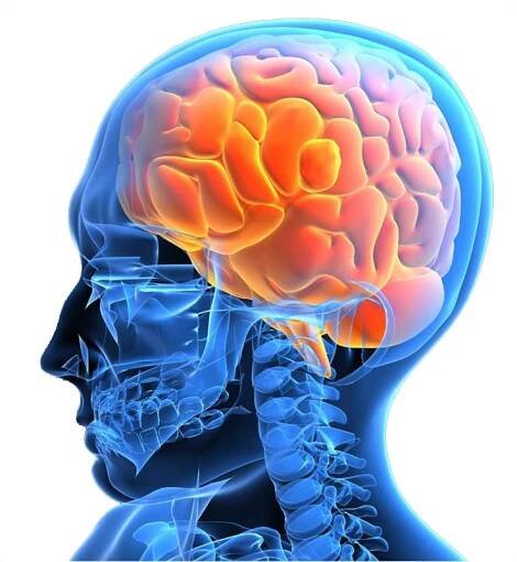 5 Tips to Improve Blood Flow to the Brain