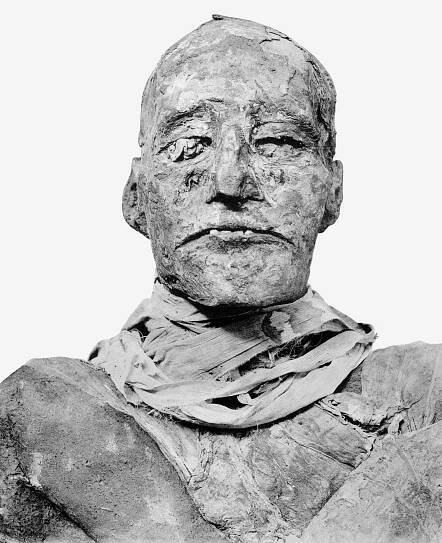 Soubor:Ramses III mummy head.png – Wikipedie