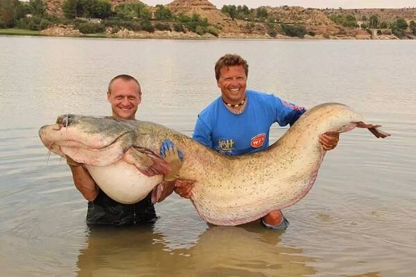 Kemp - Horní přehrada Mequinenza | FishTime