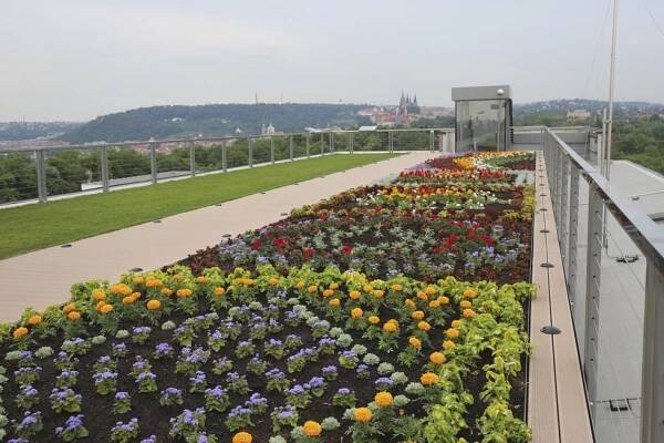 Levitující zahrada zdobí střechu muzea na Letné: Dokazuje přítomnost zemědělství v Praze