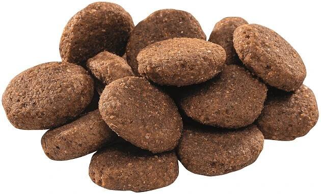 Brit Premium by Nature Granule pro psy SENIOR L-XL 25-90 kg s kuřecím 15 kg