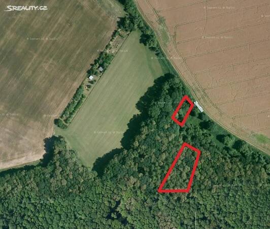 Prodej  lesa 304 m², Líšná, okres Přerov