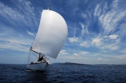 plachtění s bílým spinnakerem - sailing - stock snímky, obrázky a fotky