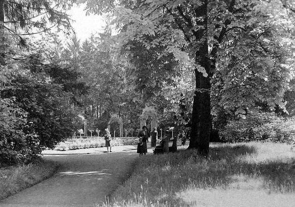 Z archivu Deníku: Připomeňte si, jak kdysi vypadaly litoměřické Jiráskovy sady