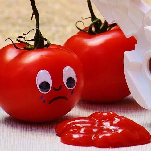 Does Ketchup Go Bad? Shelf Life Explained » Recipefairy.com