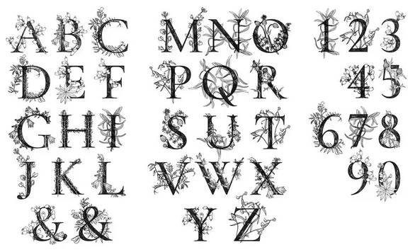 Sada elegantních vektorových monogramů s gravírováním divoké louky květiny pro váš design. — Ilustrace