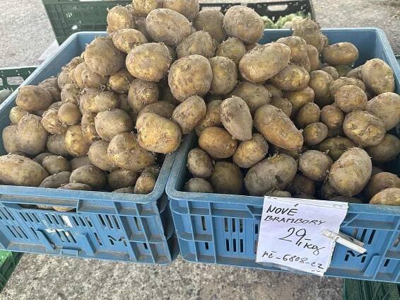 Za kolik je zelenina a ovoce na neratovických trzích? Zjistili jsme pro vás