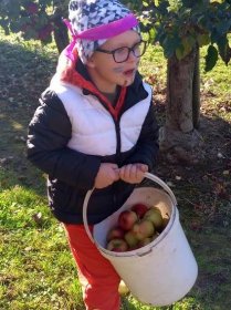 Kampak se jablíčko kutálí? K Šemberům do sadu jsme byli pozvaní | Mateřská škola Klopina