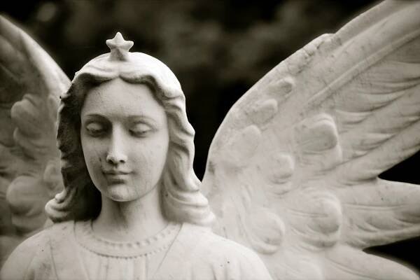 What Does 310 Mean? Angel Numbers, Love, Spirituality, & More 