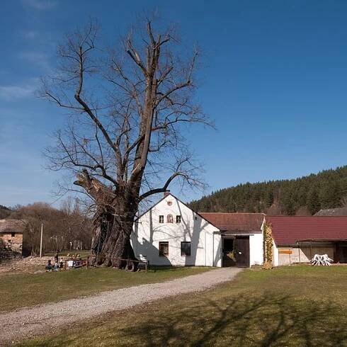 Fotogalerie • Sudslavice (Teil der Gemeinde) • Mapy.com
