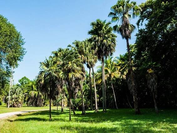 Guama, Cuba: All You Must Know Before You Go (2025) - Tripadvisor