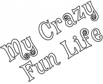 My-CrazyFunLife
