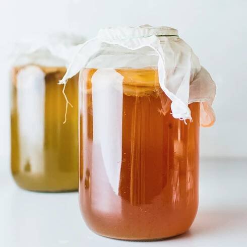 Alocha Kombucha - RAW & UNPASTEURIZED