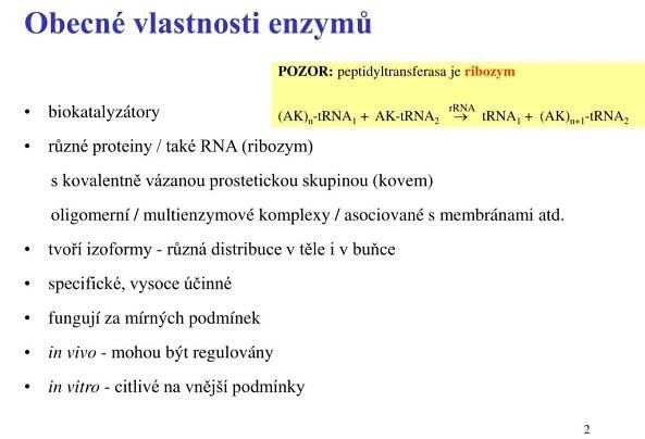PPT - Enzymy PowerPoint Presentation, free download - ID:5086991