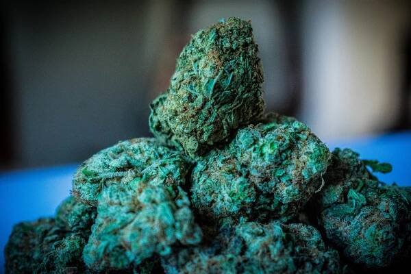 Jaké množství THC vyvolá účinek výletek? 1