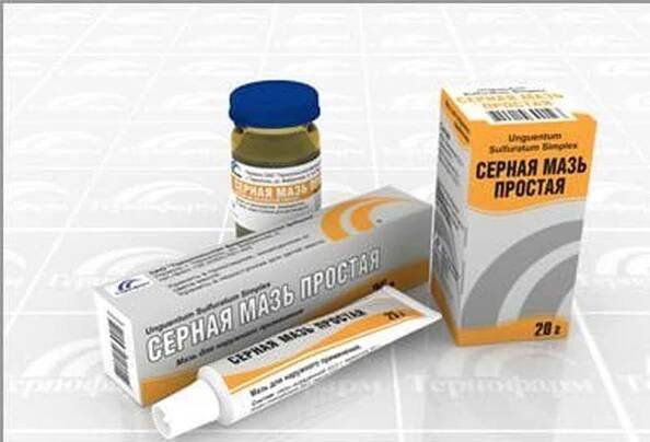 Léčba svrabů / Dermatologie | Užitečné informace a tipy na péči o sebe. Zdraví, výživa a další.