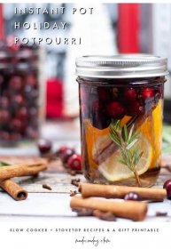 Instant Pot Potpourri Orange Cranberry Recipe