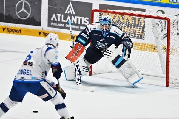 Extraliga hokej živě dnes: Kometa Brno vs. Liberec livestream