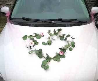 Srdce na auto eukalyptové duté - 45 cm