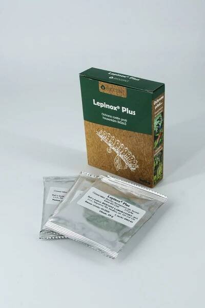 Lepinox Plus – 3x10g