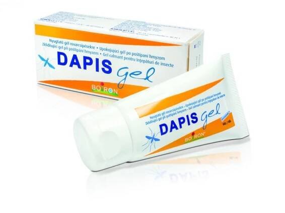 dapis_gel-352x198.jpg