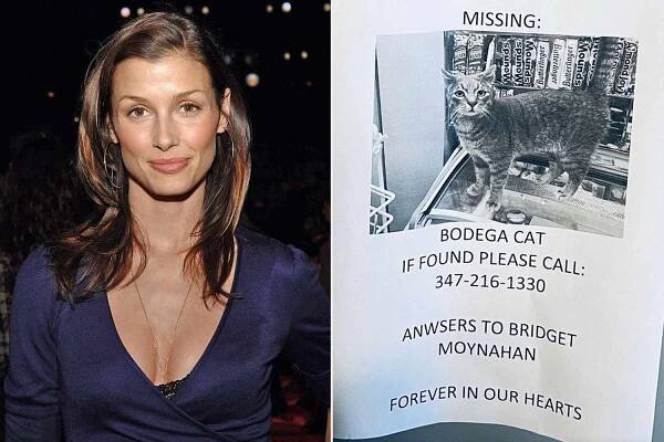 Bridget Moynahan Asks Fans to Help Find a New York City Bodega's Cat Who Is Named After Her