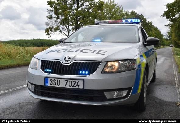 Pickup narazil u Turska čelně do stromu, kolemjedoucí policisté vytáhli řidiče a uhasili požár | Týdeník Policie