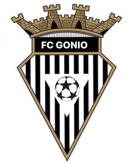 FC Gonio (Gruzie) - fotbalový klub FC Gonio (Gruzie), zprávy, novinky, výsledky