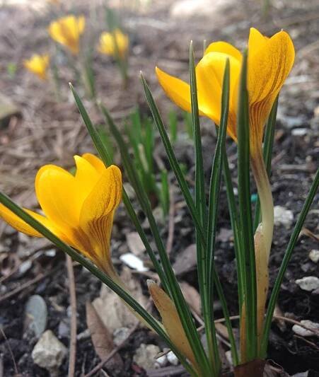 March, 2016 | More Organics